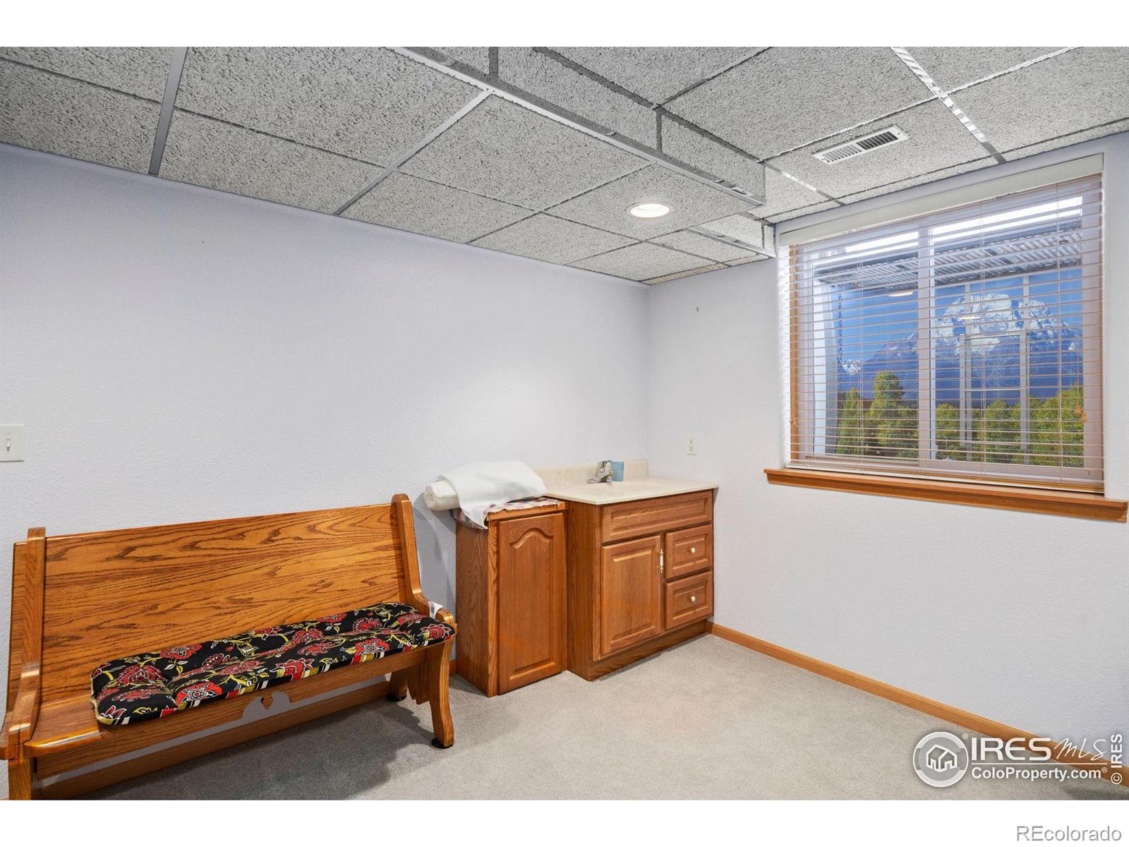 MLS Image #19 for 2361  woody creek circle,loveland, Colorado