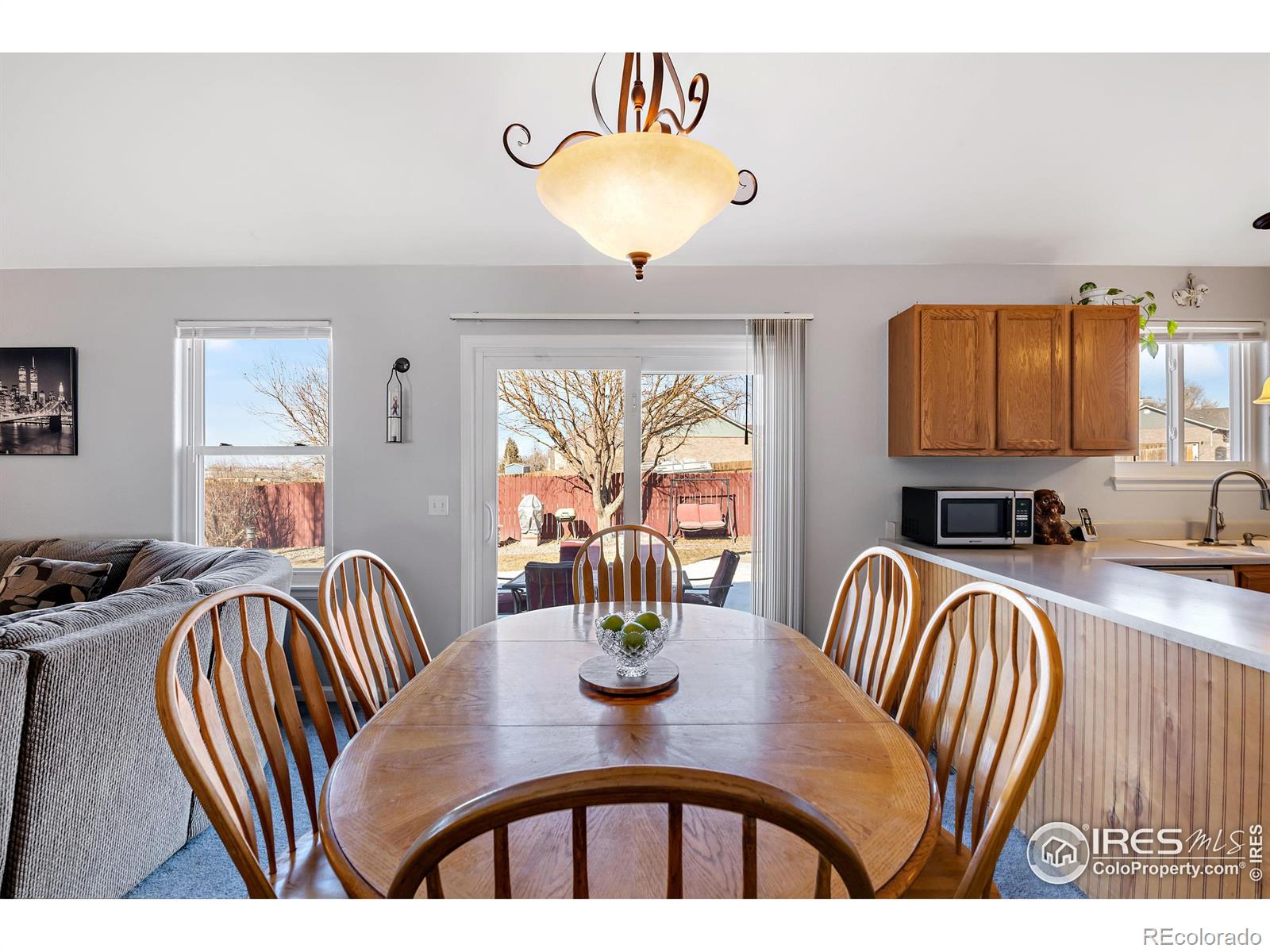 MLS Image #10 for 2051  joann court,brighton, Colorado