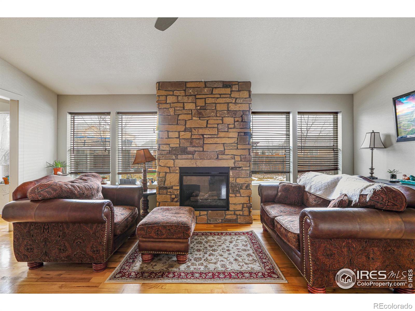 MLS Image #4 for 516  prairie clover way,severance, Colorado