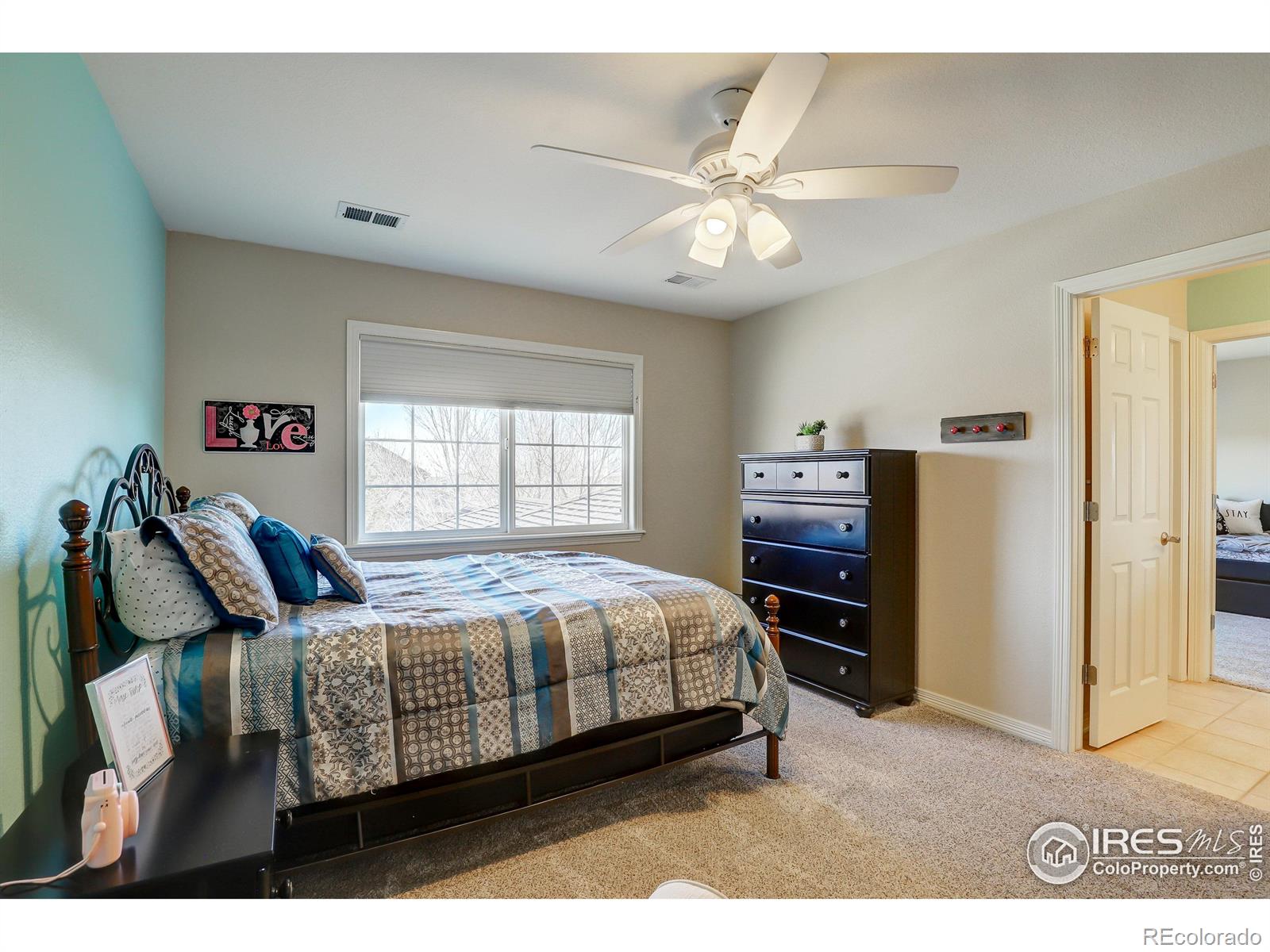 MLS Image #22 for 14015  willow wood court,broomfield, Colorado