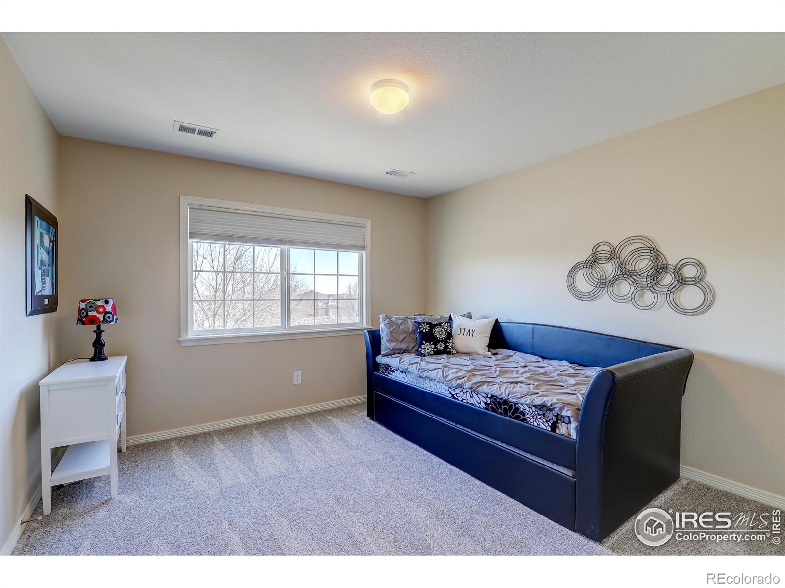 MLS Image #24 for 14015  willow wood court,broomfield, Colorado