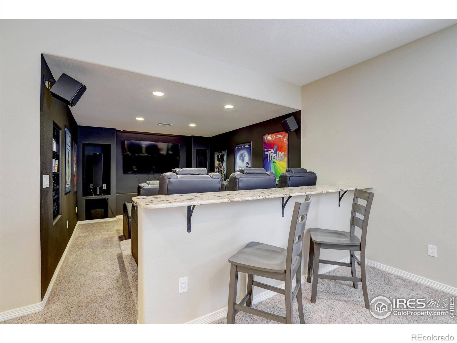 MLS Image #28 for 14015  willow wood court,broomfield, Colorado