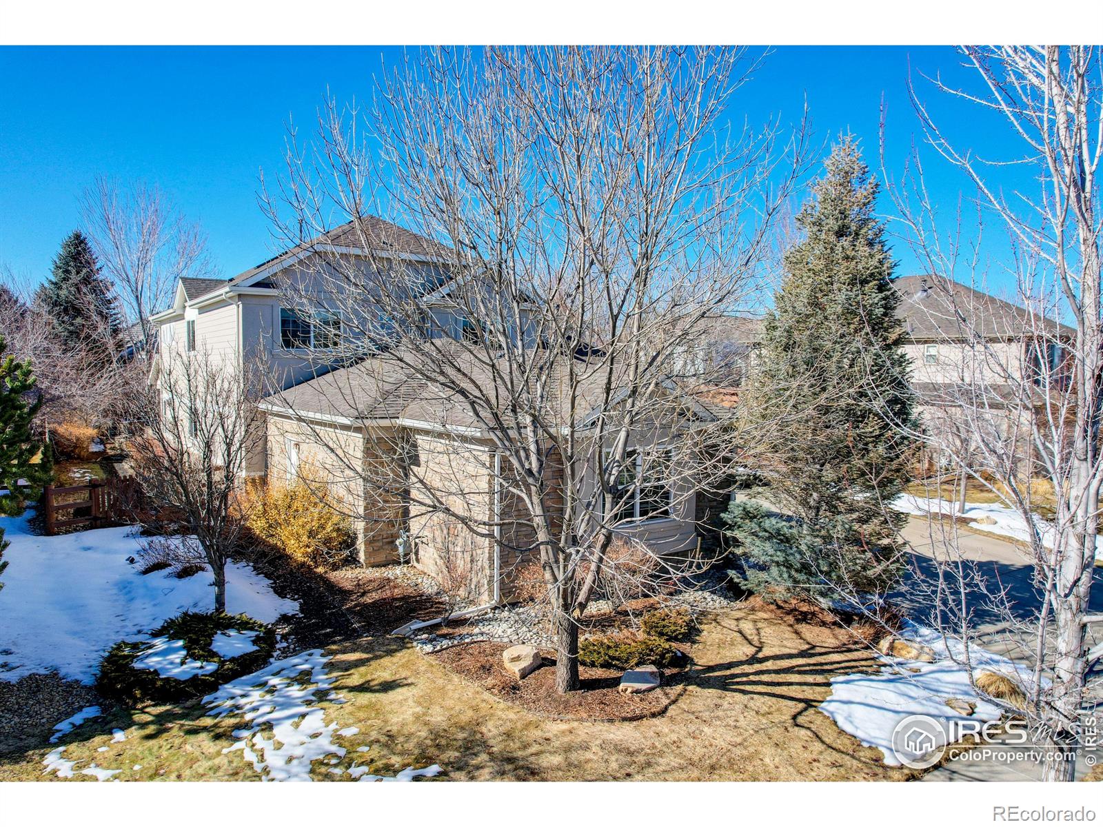 MLS Image #36 for 14015  willow wood court,broomfield, Colorado