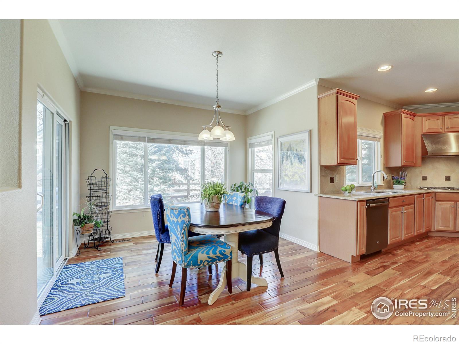 MLS Image #7 for 14015  willow wood court,broomfield, Colorado