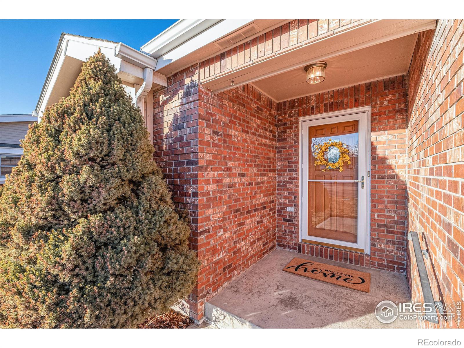 MLS Image #21 for 1230  honeysuckle court,windsor, Colorado