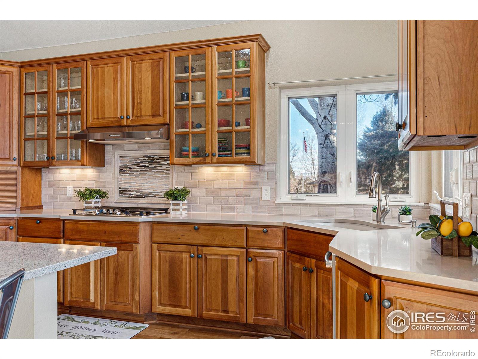 MLS Image #9 for 77  baker lane,erie, Colorado