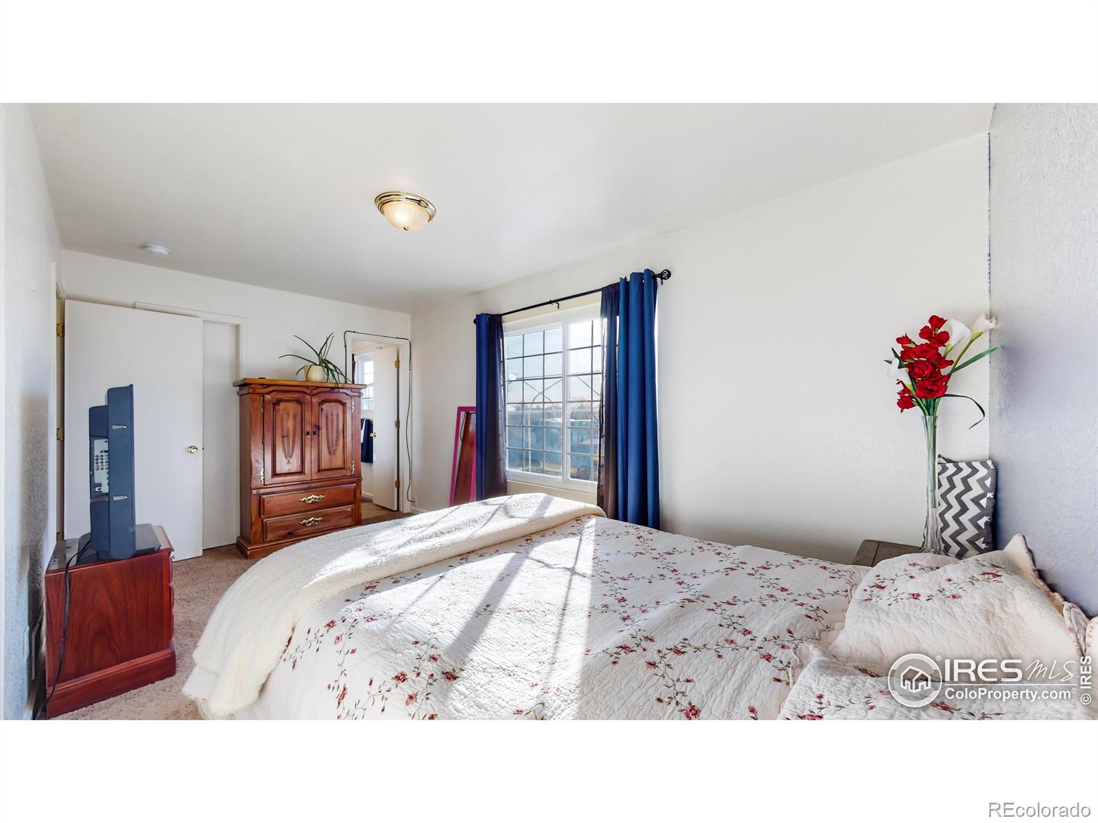 MLS Image #15 for 2417  bearwood avenue,greeley, Colorado