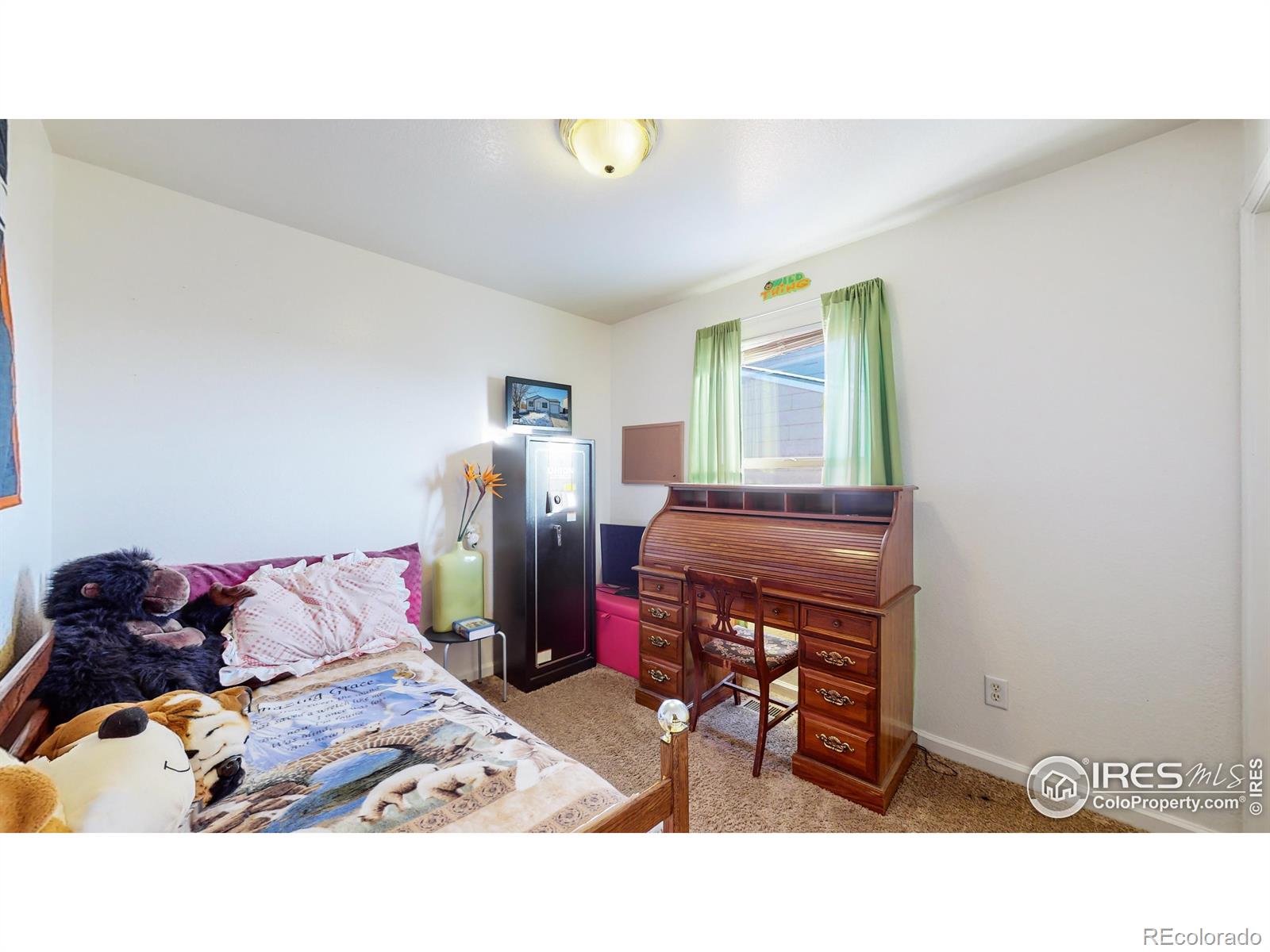 MLS Image #17 for 2417  bearwood avenue,greeley, Colorado