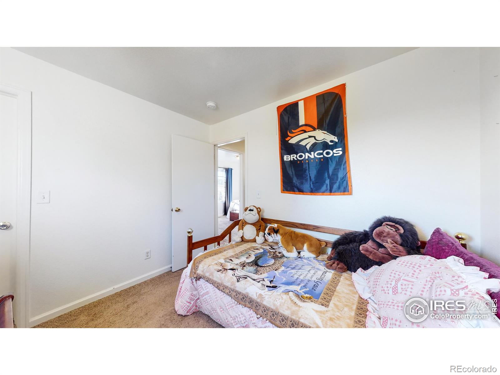 MLS Image #18 for 2417  bearwood avenue,greeley, Colorado