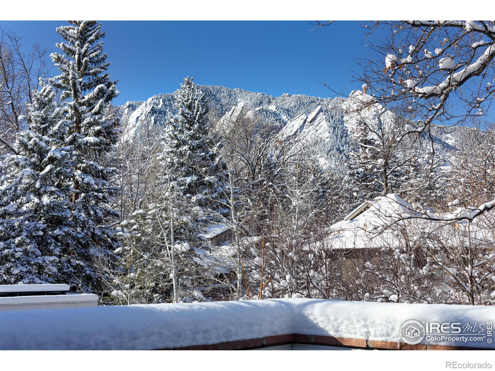 MLS Image #5 for 1492  columbine avenue,boulder, Colorado