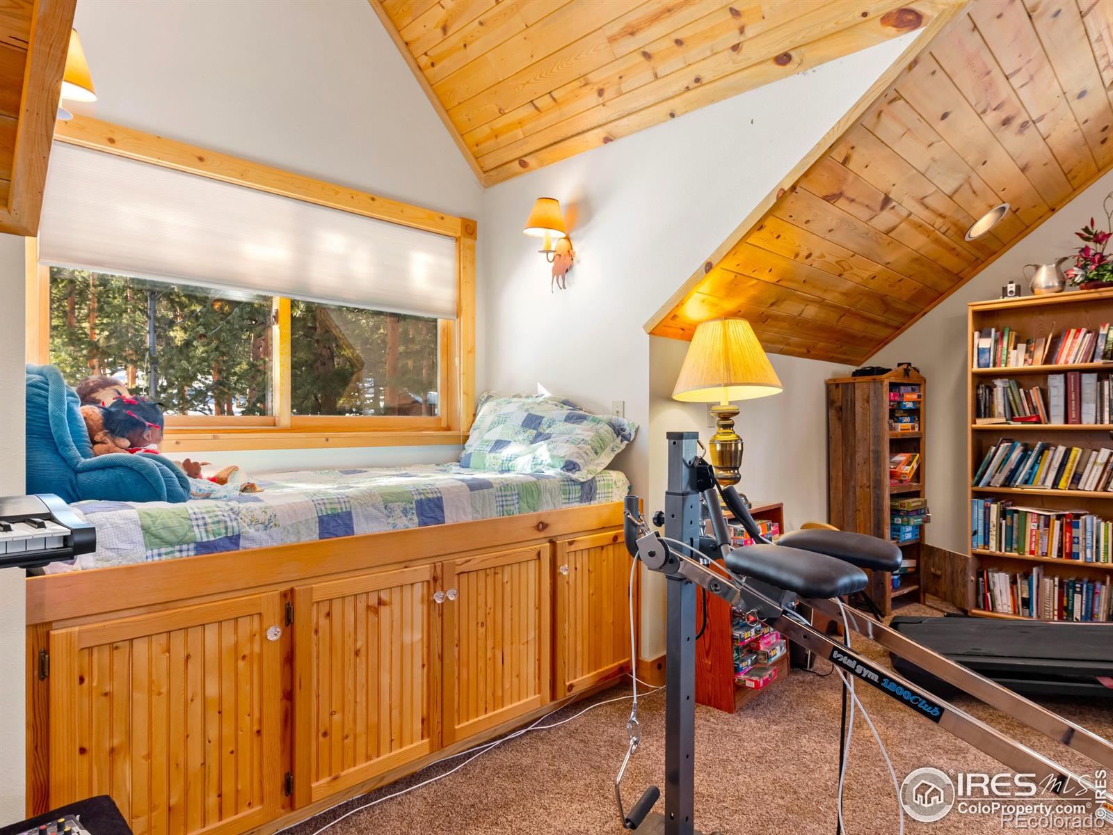 MLS Image #21 for 13143  highway 7 ,allenspark, Colorado