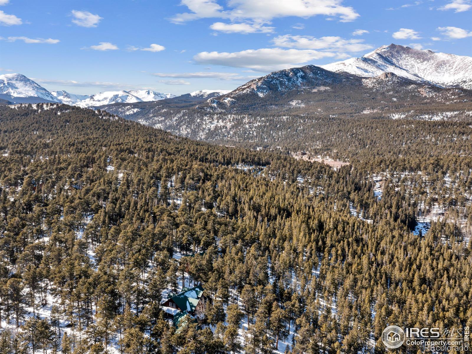 MLS Image #4 for 13143  highway 7 ,allenspark, Colorado