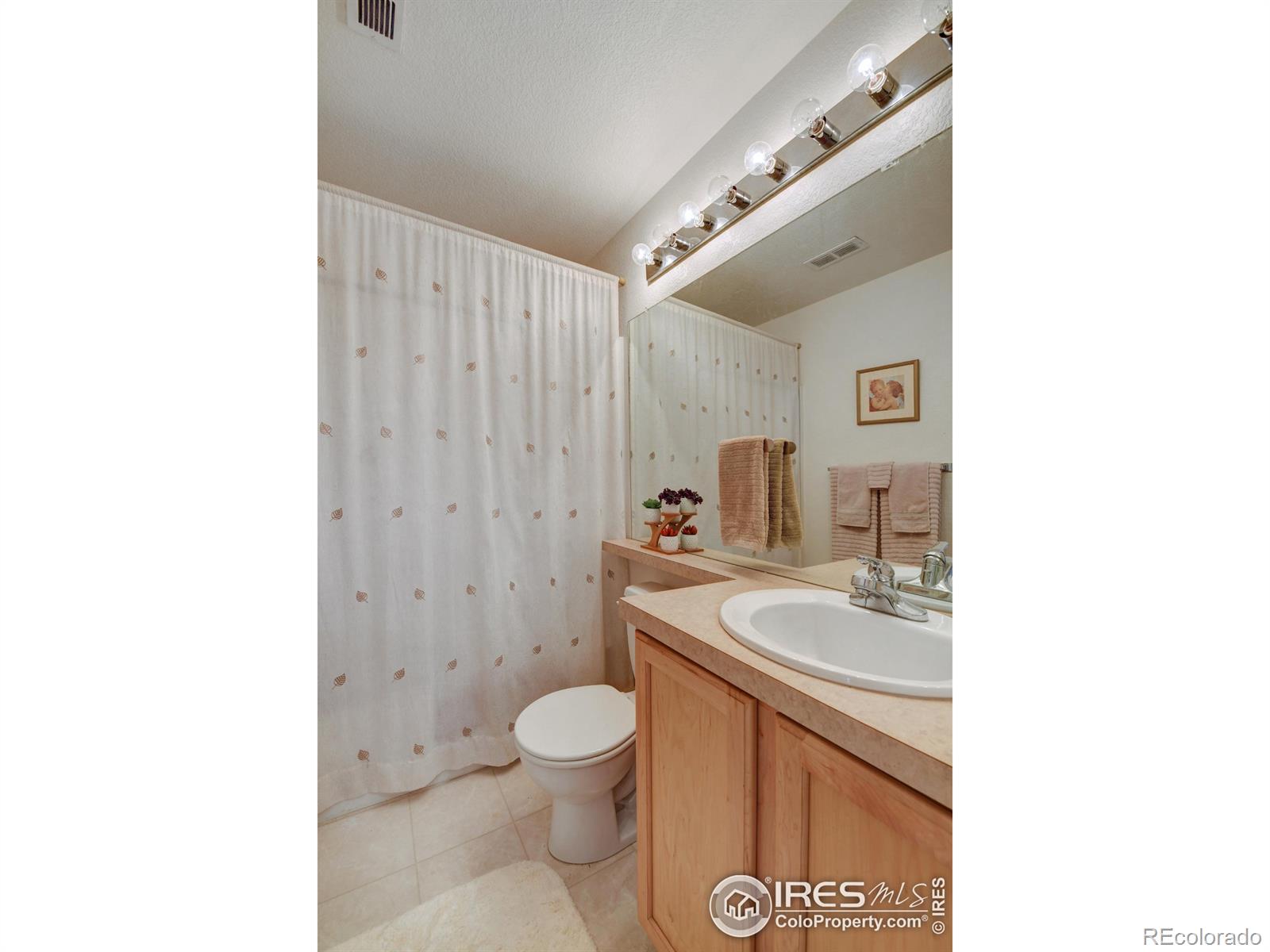 MLS Image #16 for 747  snowberry street,longmont, Colorado