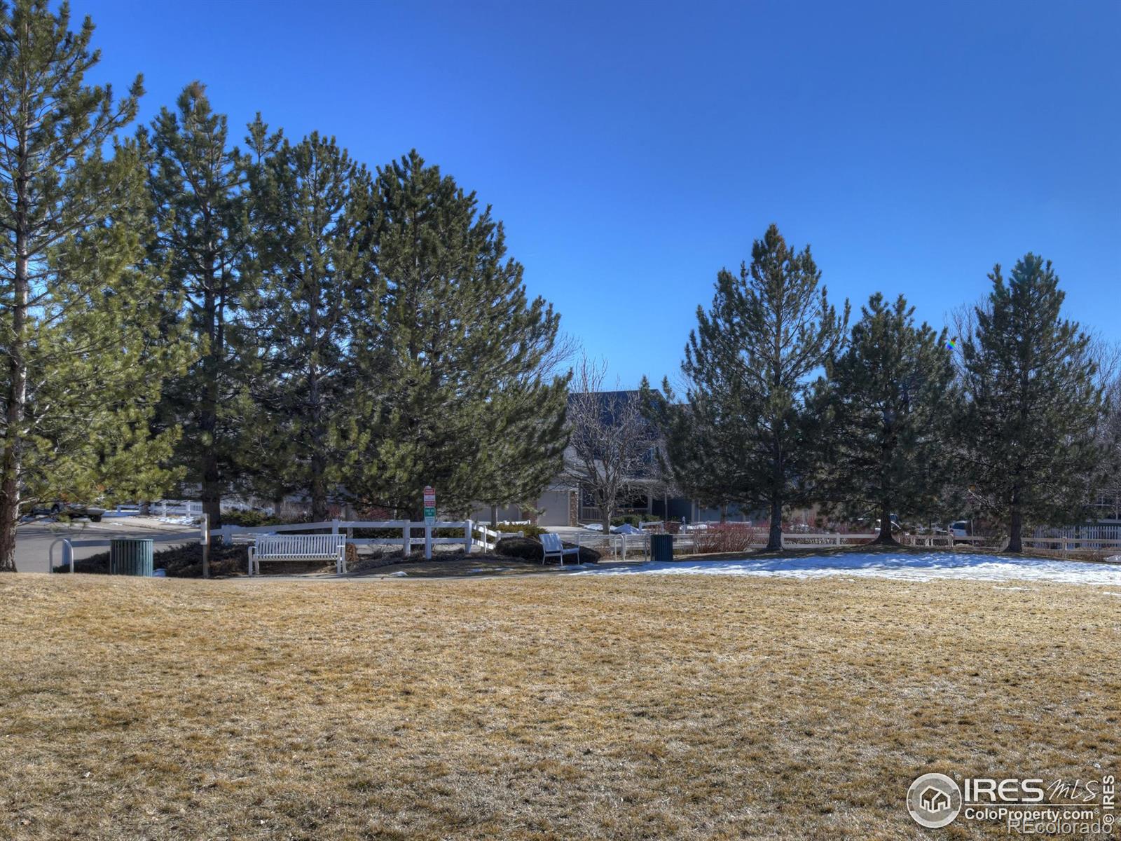 MLS Image #19 for 747  snowberry street,longmont, Colorado