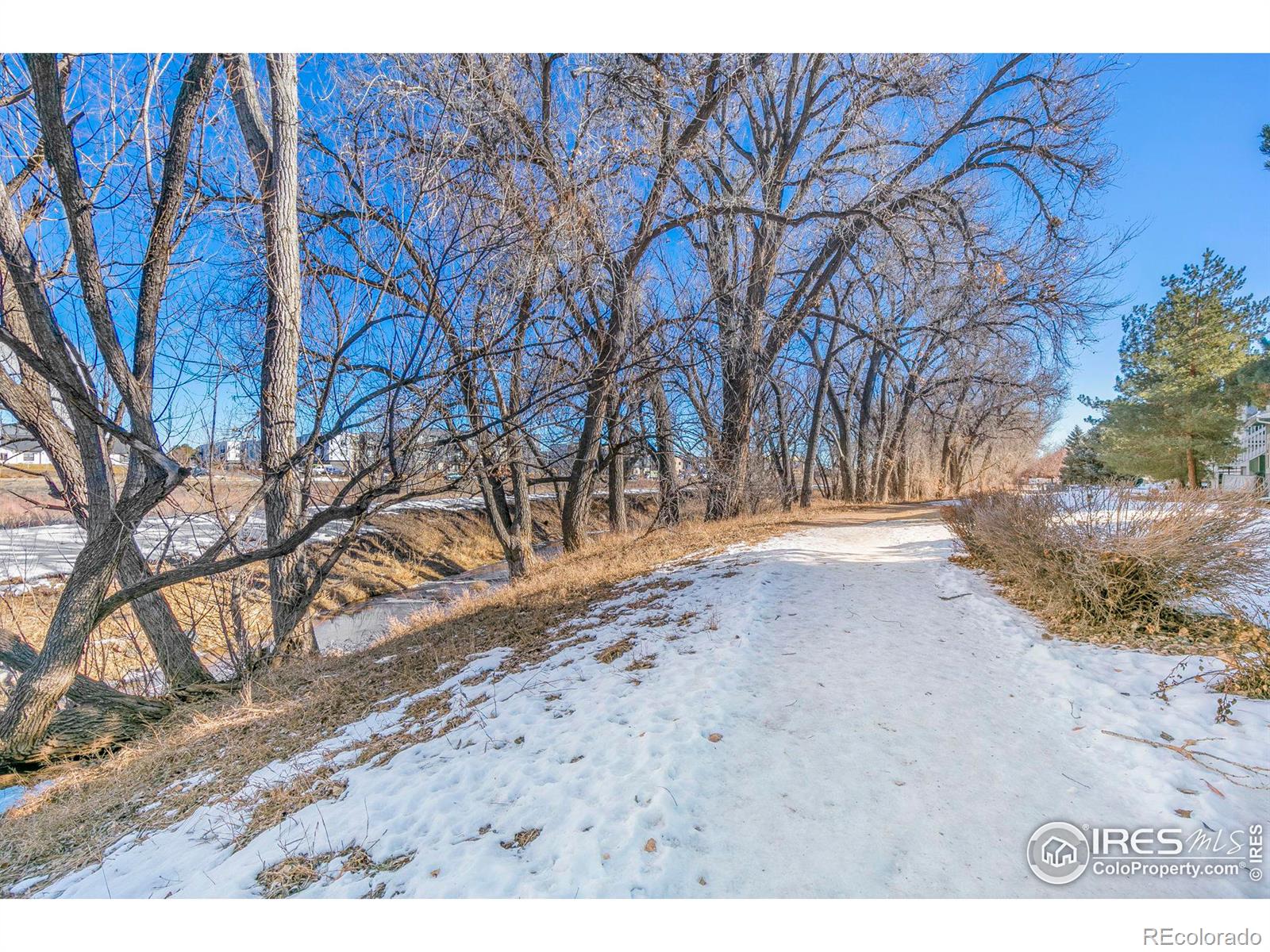 MLS Image #26 for 2225  watersong circle,longmont, Colorado