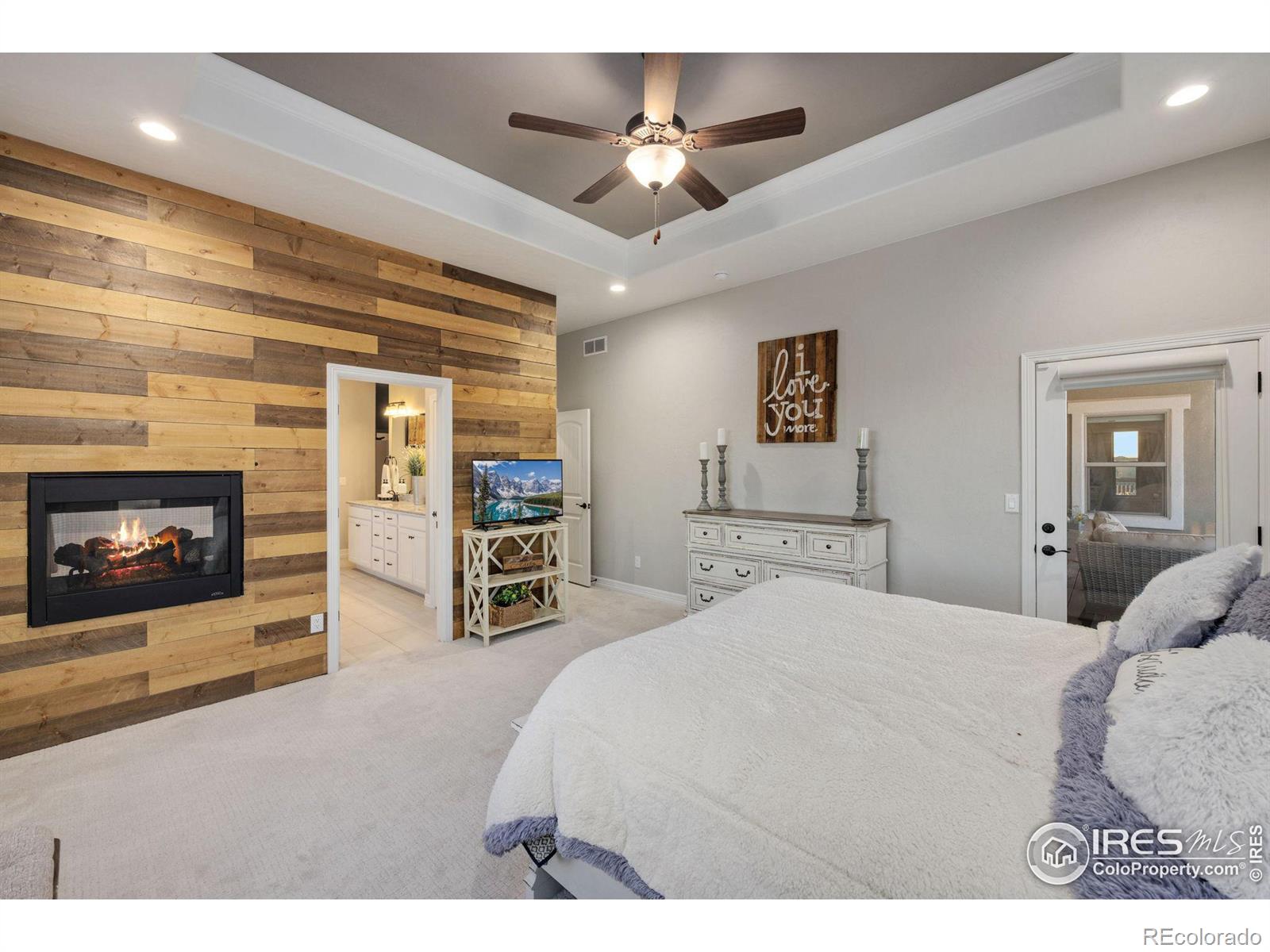 MLS Image #18 for 5520  tullamore court,timnath, Colorado