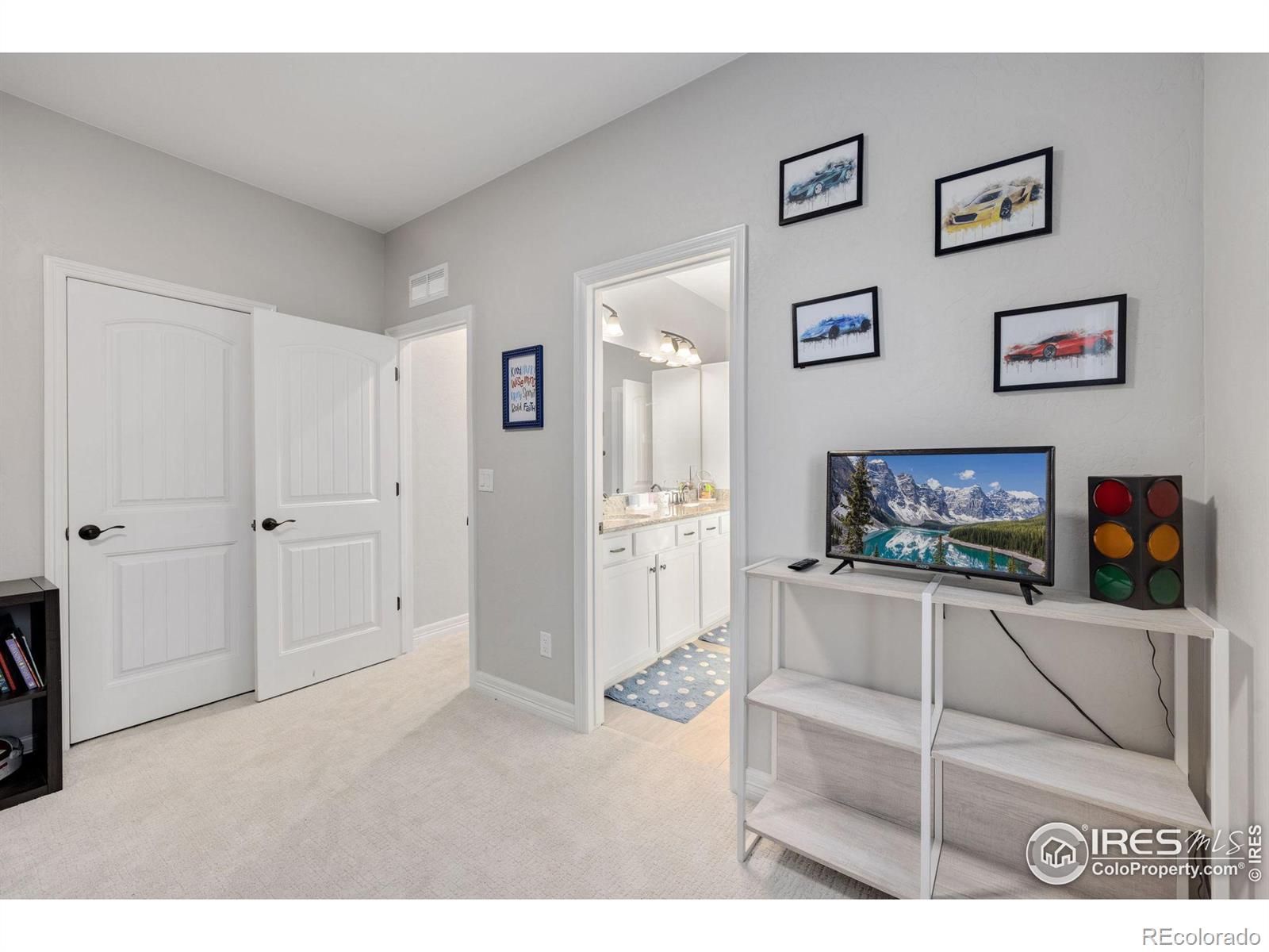 MLS Image #28 for 5520  tullamore court,timnath, Colorado