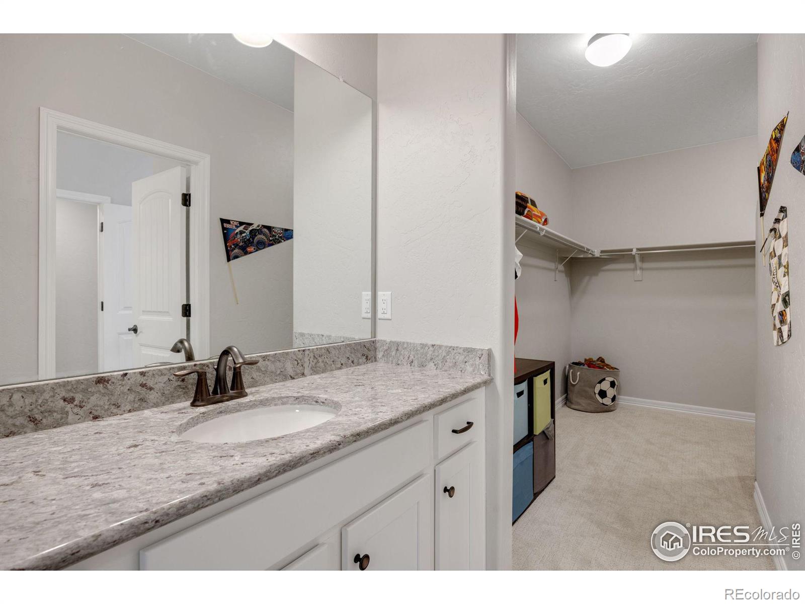 MLS Image #35 for 5520  tullamore court,timnath, Colorado