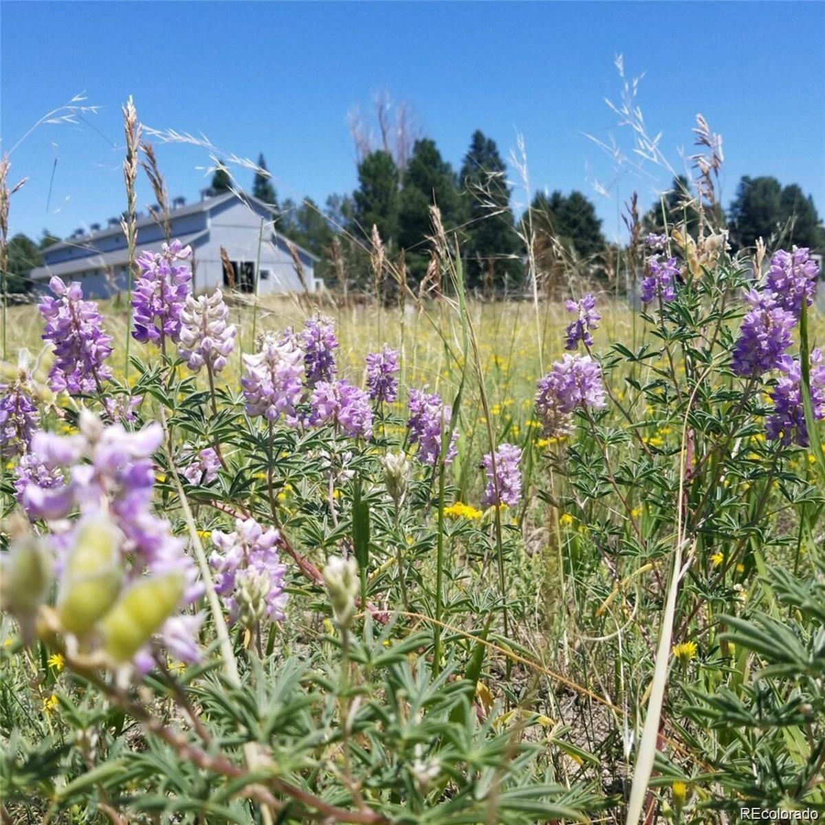 MLS Image #28 for 9102  warriors mark drive,franktown, Colorado