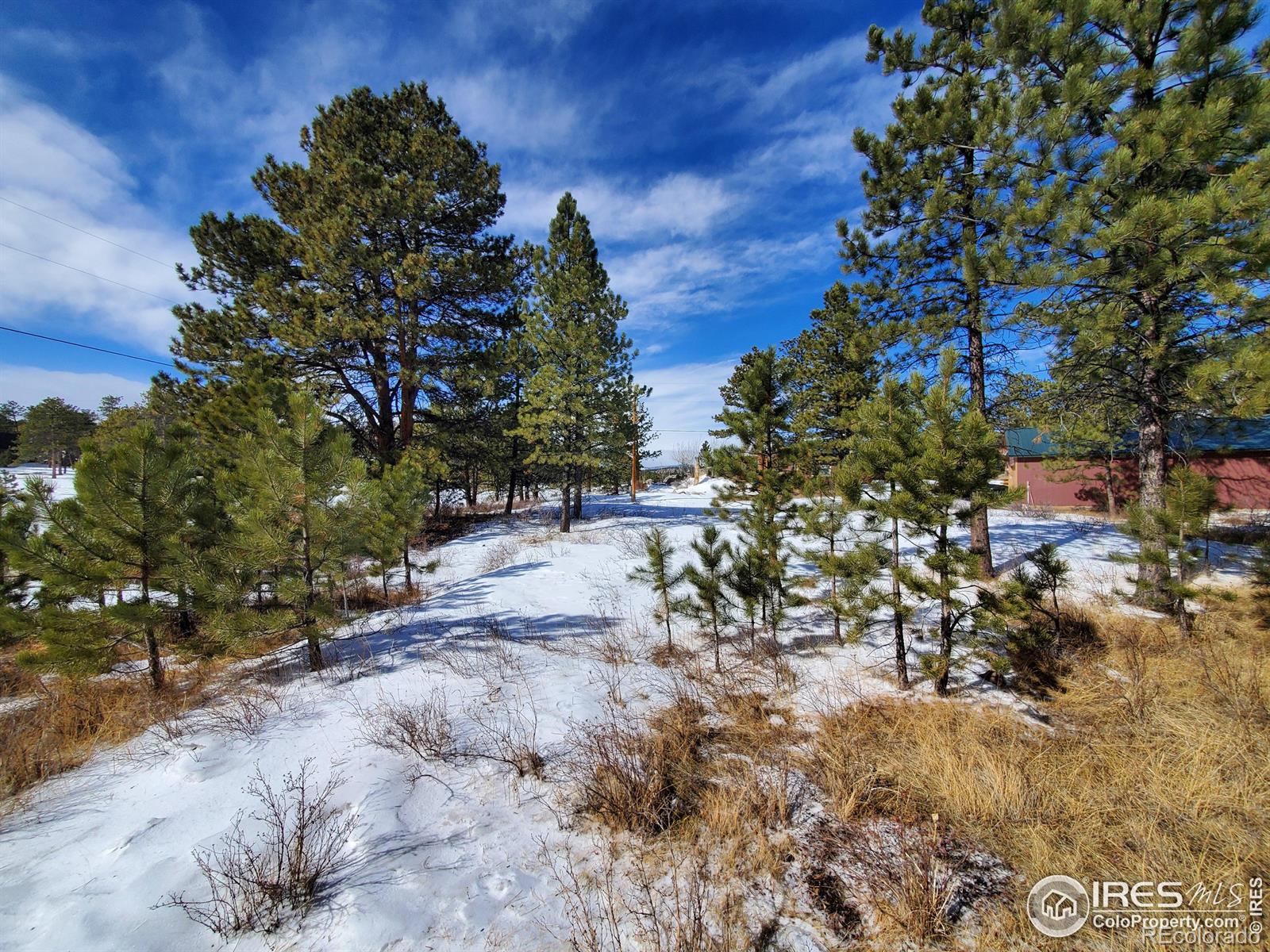 MLS Image #29 for 95  eagle tree circle,red feather lakes, Colorado