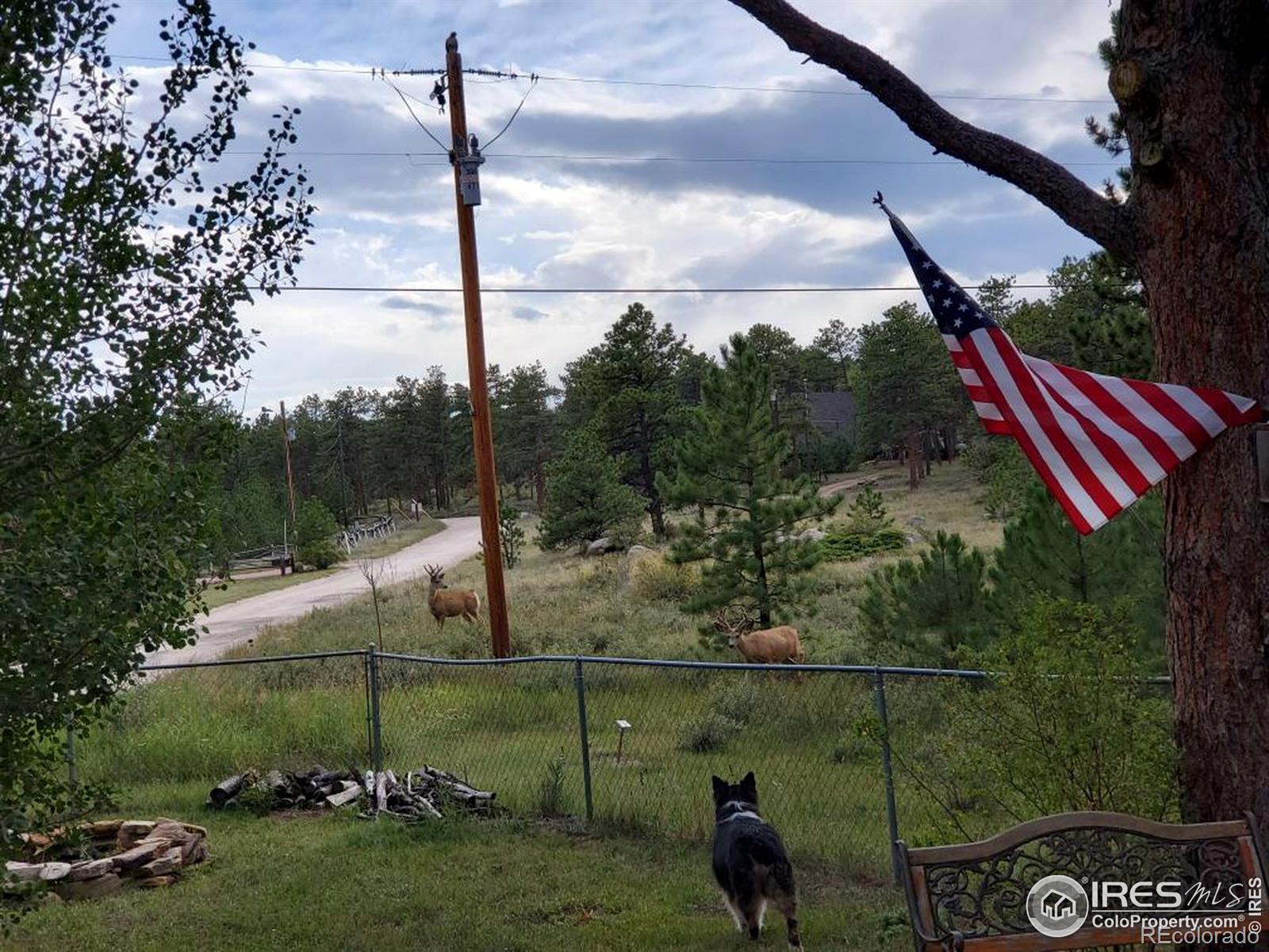 MLS Image #36 for 95  eagle tree circle,red feather lakes, Colorado