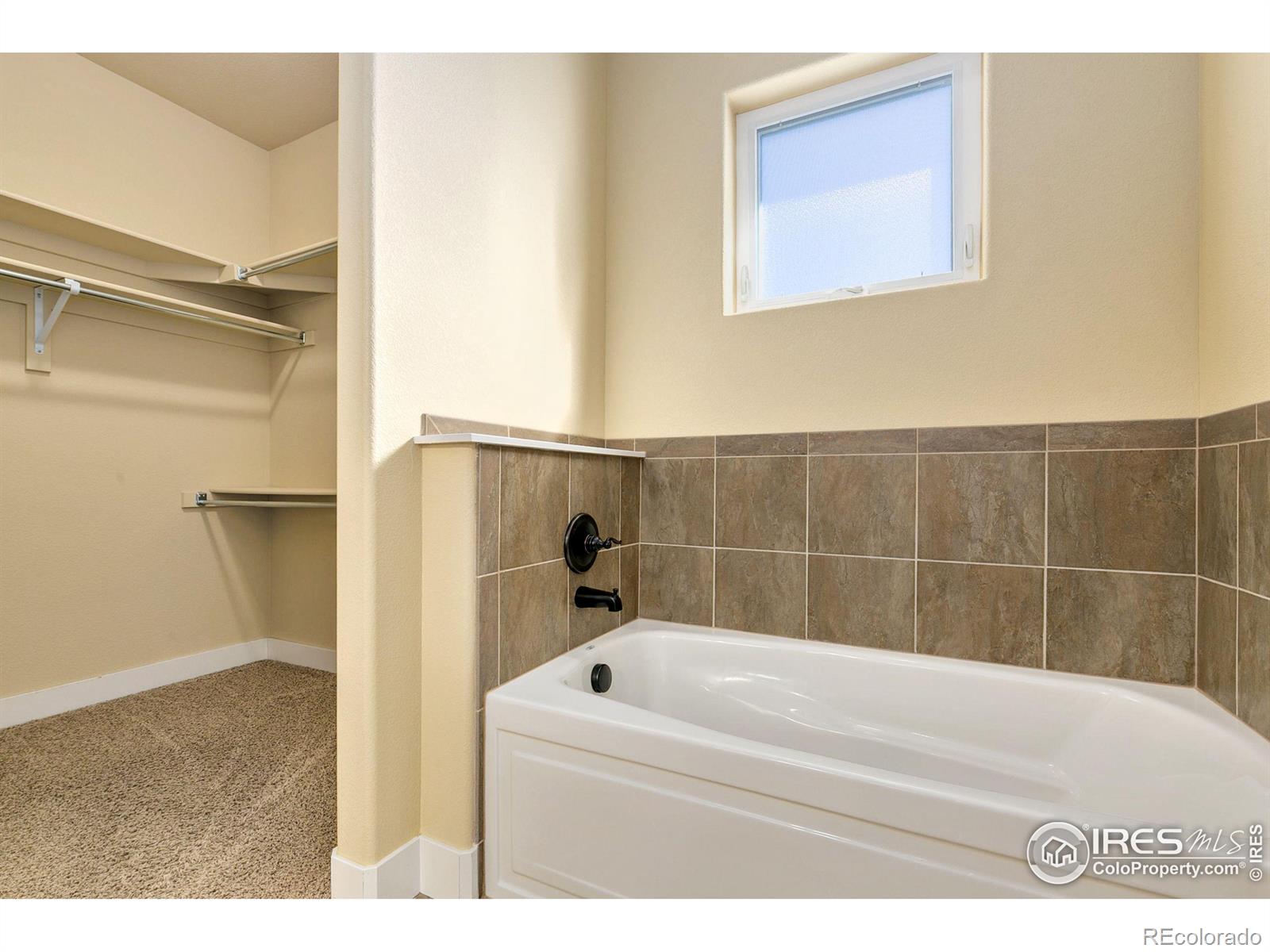 MLS Image #18 for 5851  dripping rock lane,fort collins, Colorado