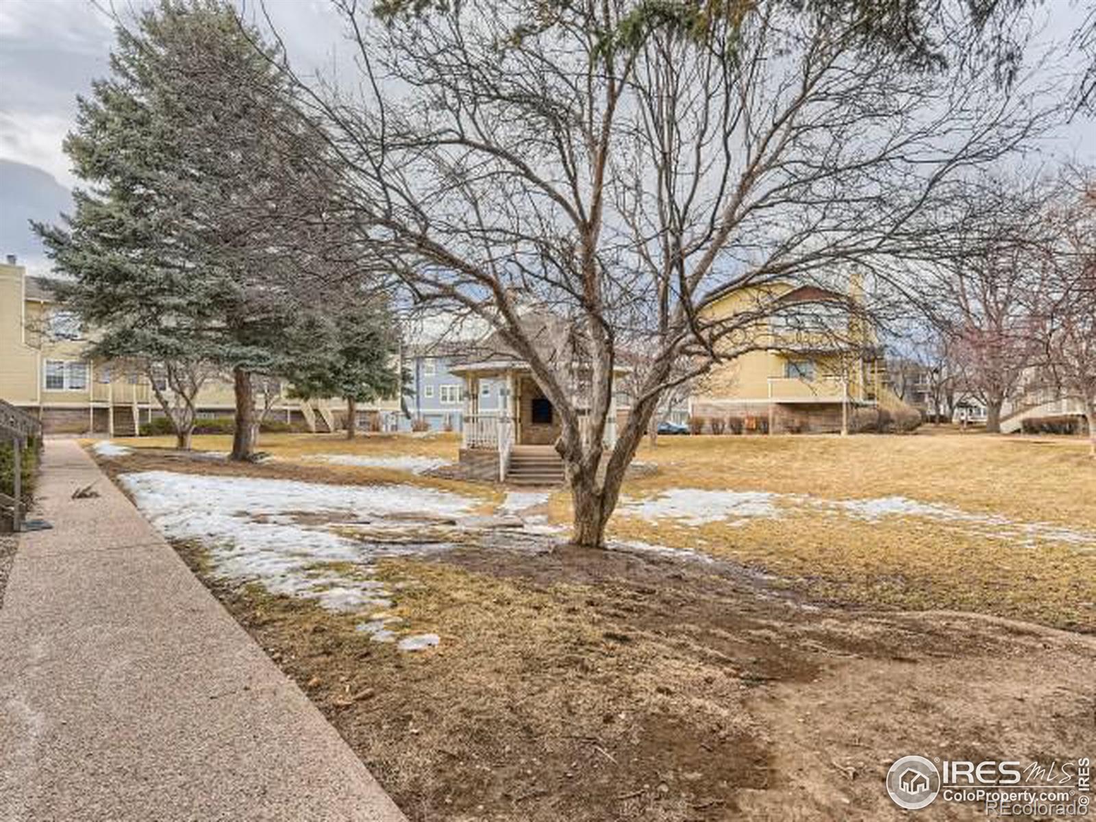 MLS Image #16 for 3200  azalea drive,fort collins, Colorado