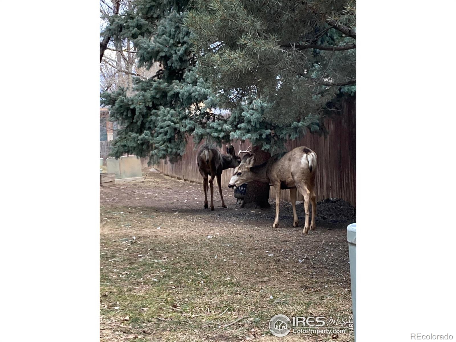 CMA Image for 1508  harrison avenue,Boulder, Colorado