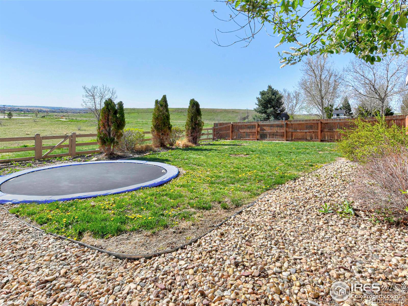 MLS Image #35 for 481  graham circle,erie, Colorado