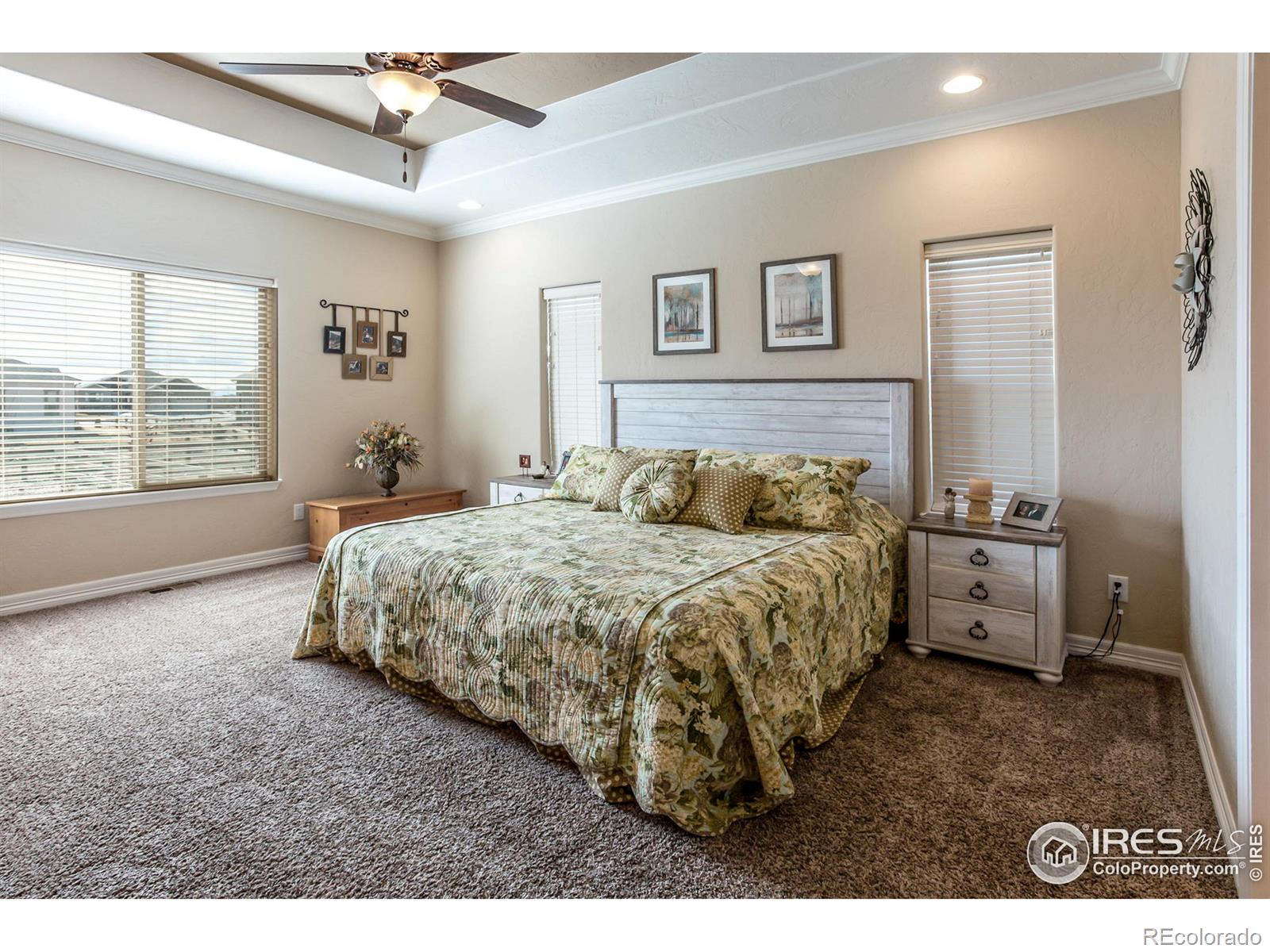 MLS Image #12 for 5281  kellan court,timnath, Colorado