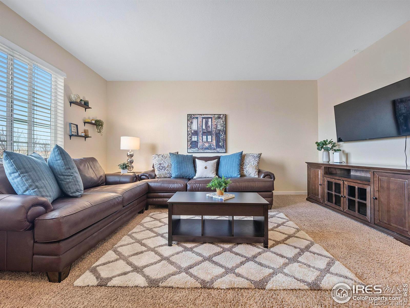 MLS Image #3 for 15800 e 121st avenue,commerce city, Colorado