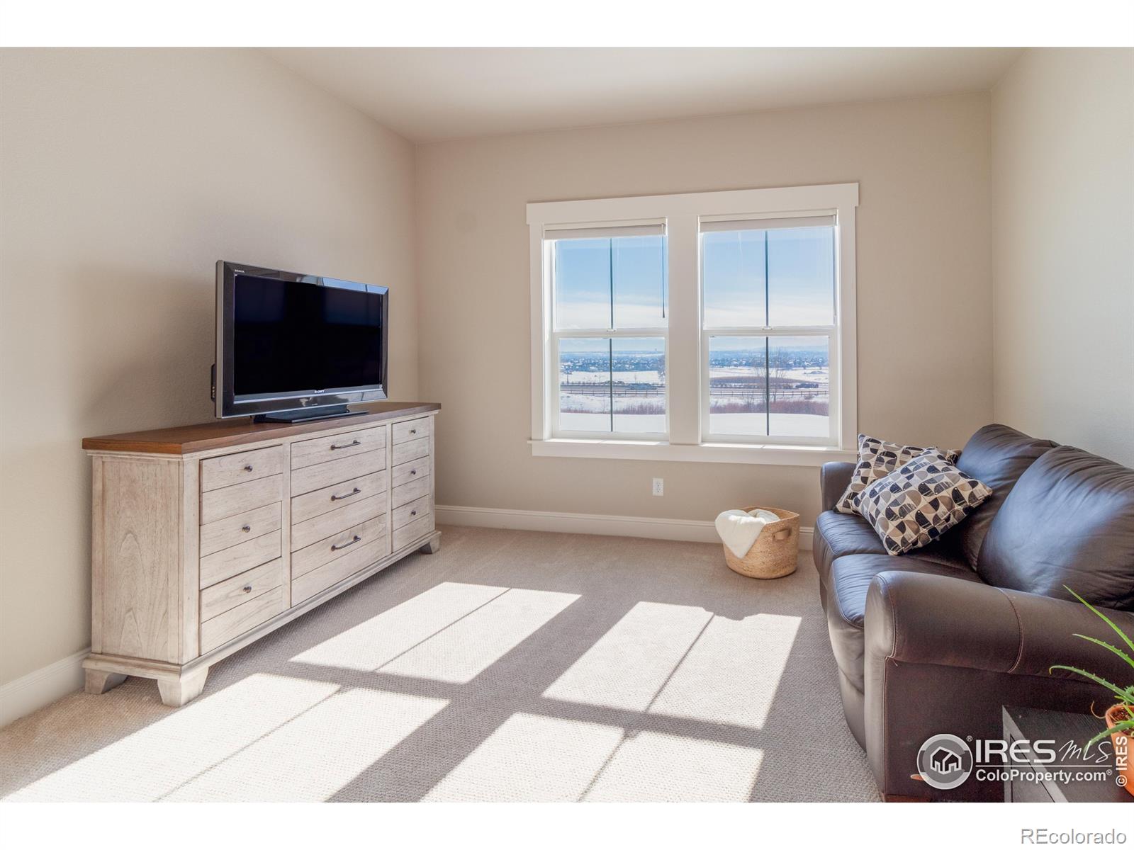 MLS Image #25 for 4336  ardglass lane,timnath, Colorado