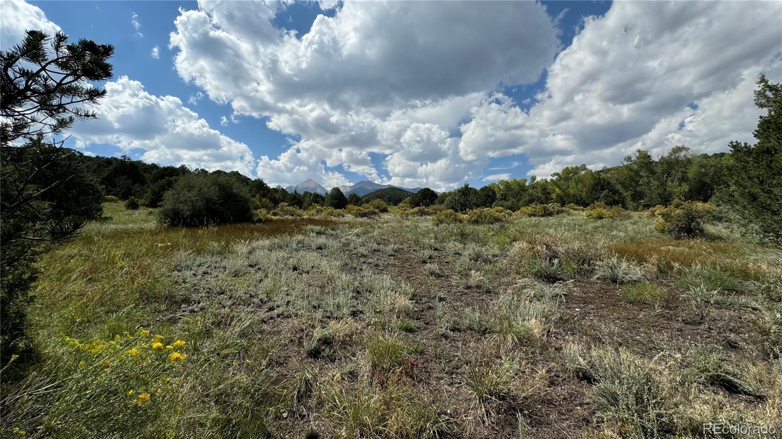 MLS Image #42 for 12605  coyote valley road,salida, Colorado