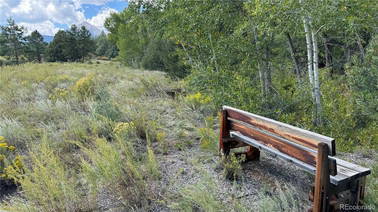 MLS Image #43 for 12605  coyote valley road,salida, Colorado