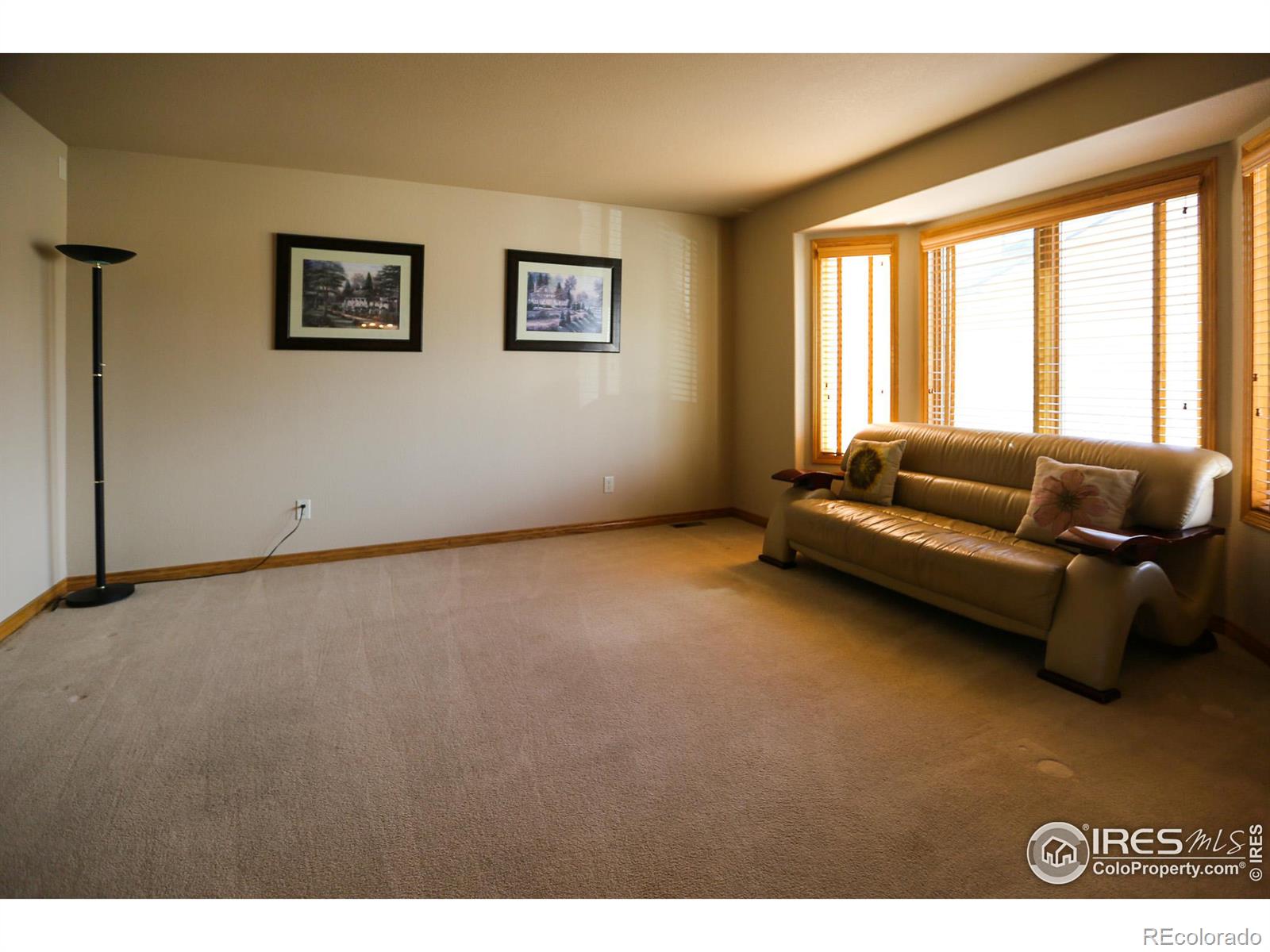 MLS Image #6 for 3220  ledgestone court,fort collins, Colorado