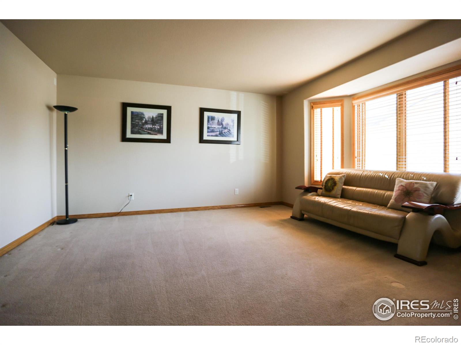 MLS Image #7 for 3220  ledgestone court,fort collins, Colorado