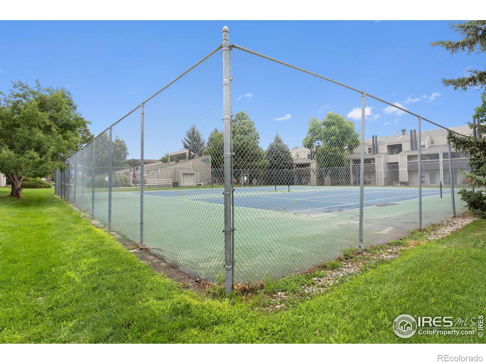 MLS Image #33 for 3407  stover street,fort collins, Colorado