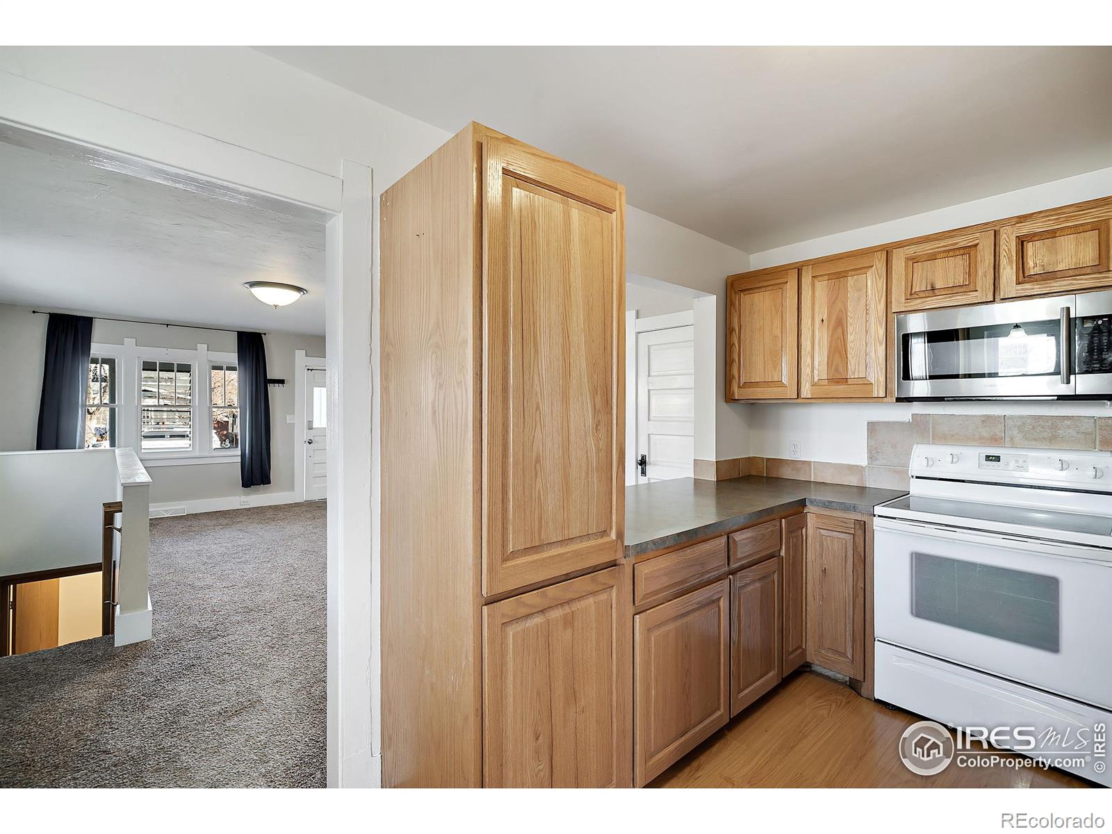 MLS Image #7 for 1307 n jefferson avenue,loveland, Colorado