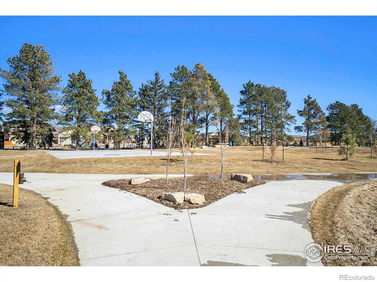 MLS Image #21 for 750  wagon trail road,fort collins, Colorado