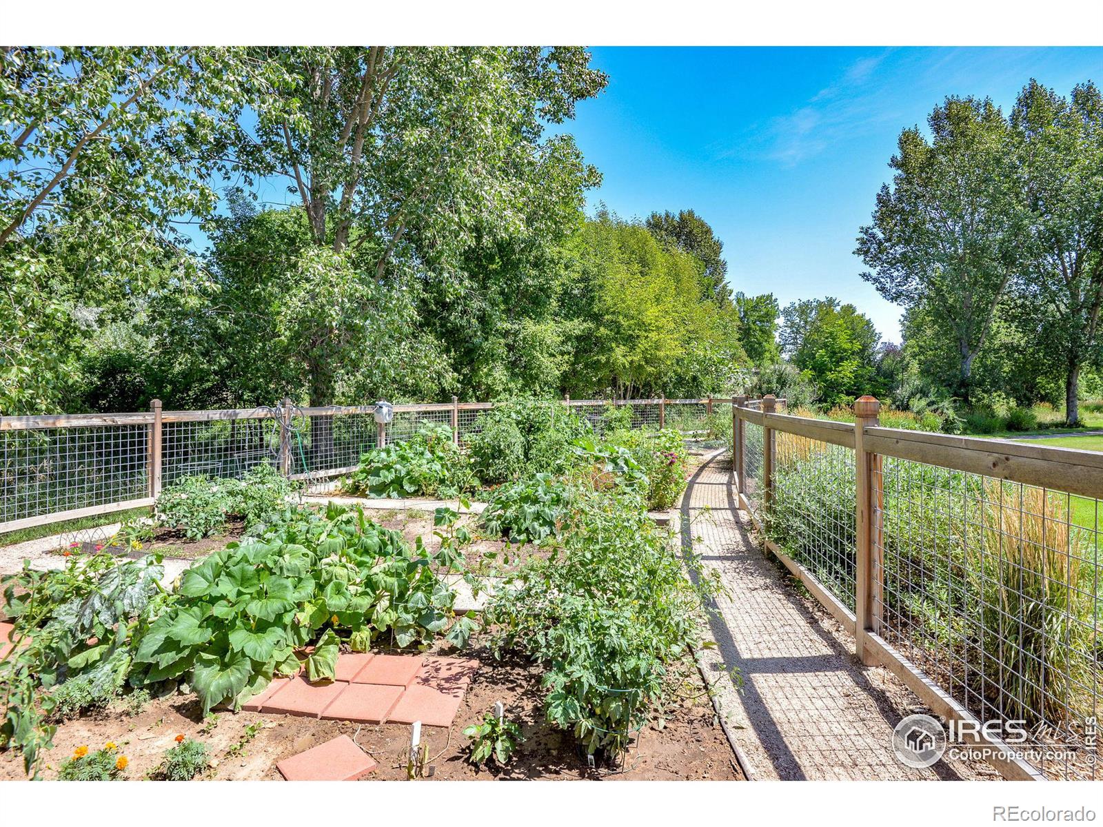 MLS Image #32 for 3766  bromley drive,fort collins, Colorado