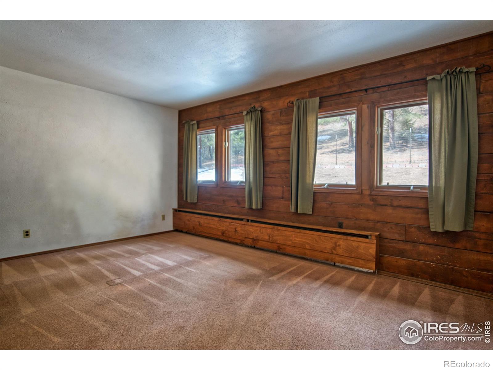 MLS Image #11 for 601  pika road,boulder, Colorado