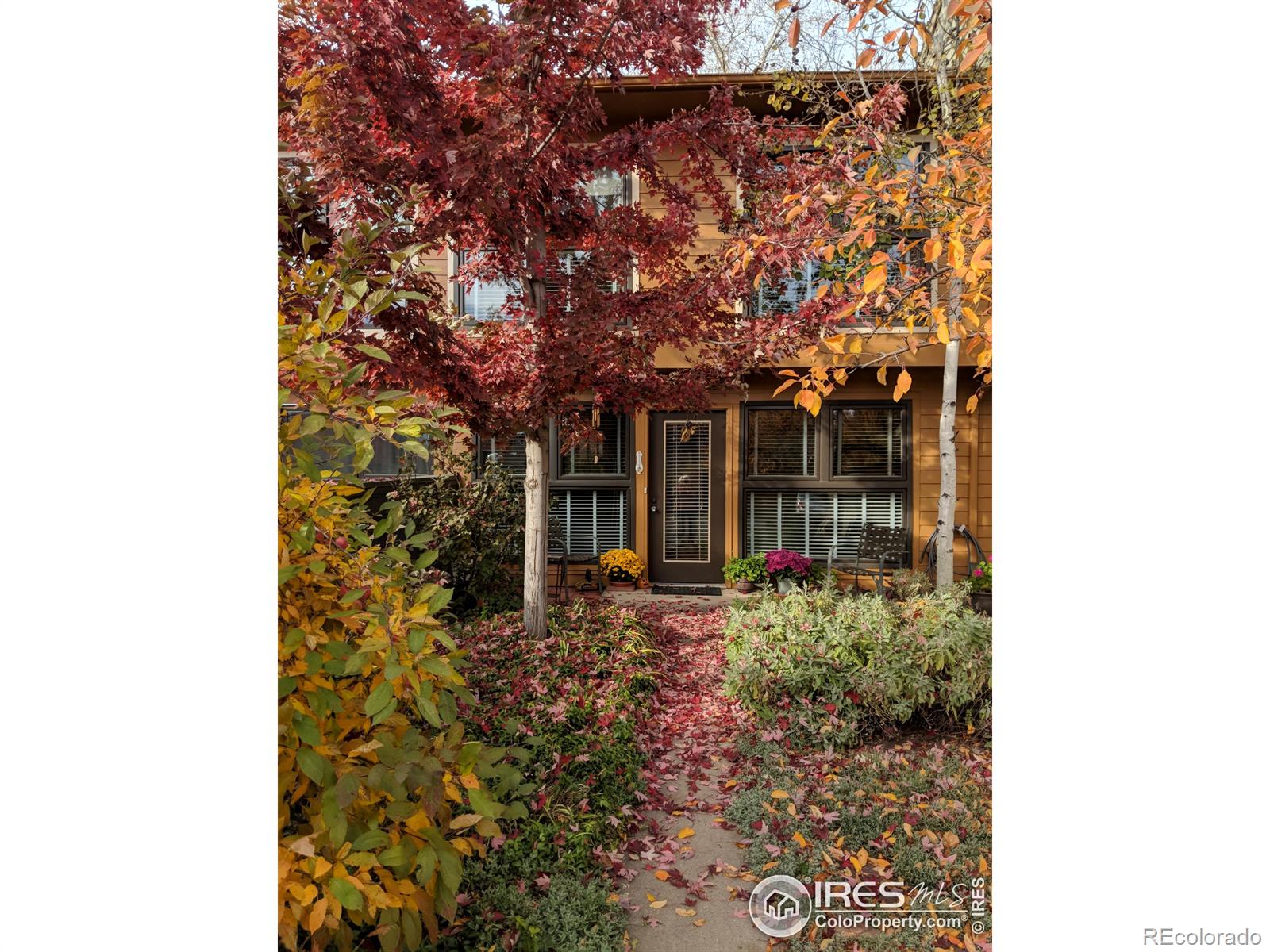 MLS Image #5 for 3828  northbrook drive,boulder, Colorado