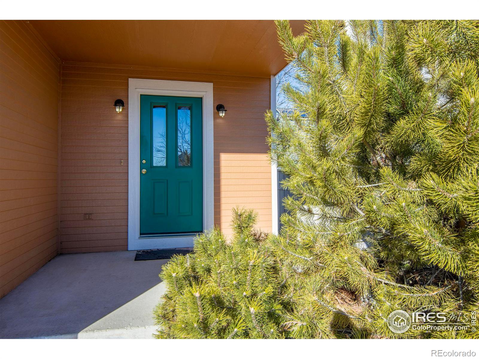 MLS Image #2 for 805  arrowood street,longmont, Colorado