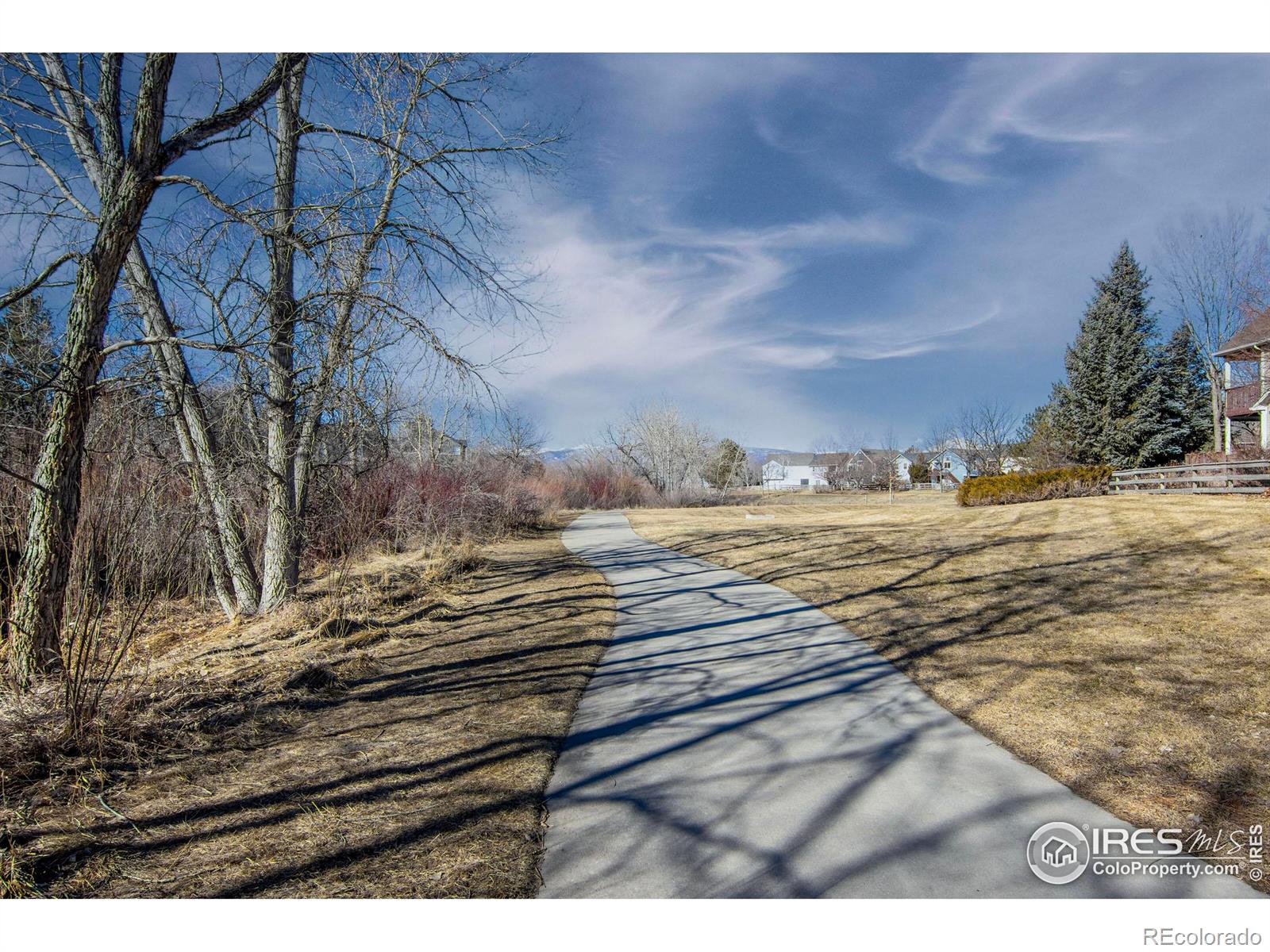 MLS Image #29 for 805  arrowood street,longmont, Colorado