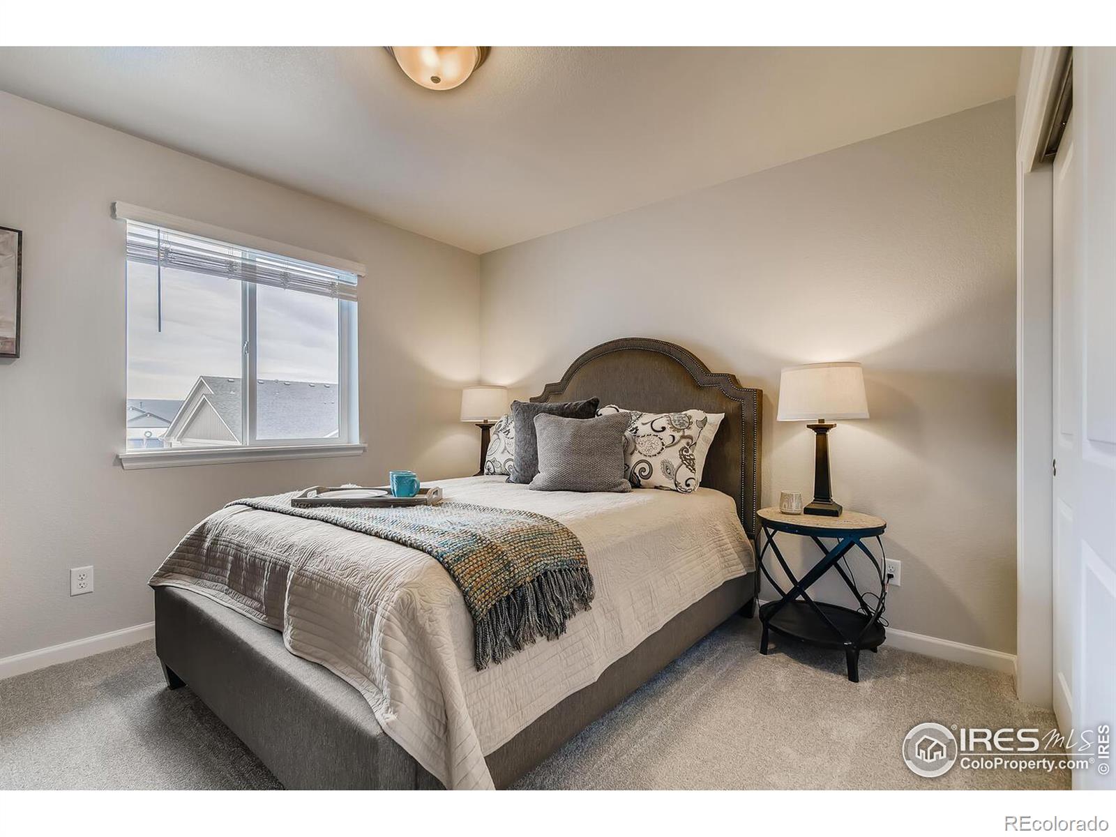 MLS Image #22 for 601  hillspire drive,windsor, Colorado