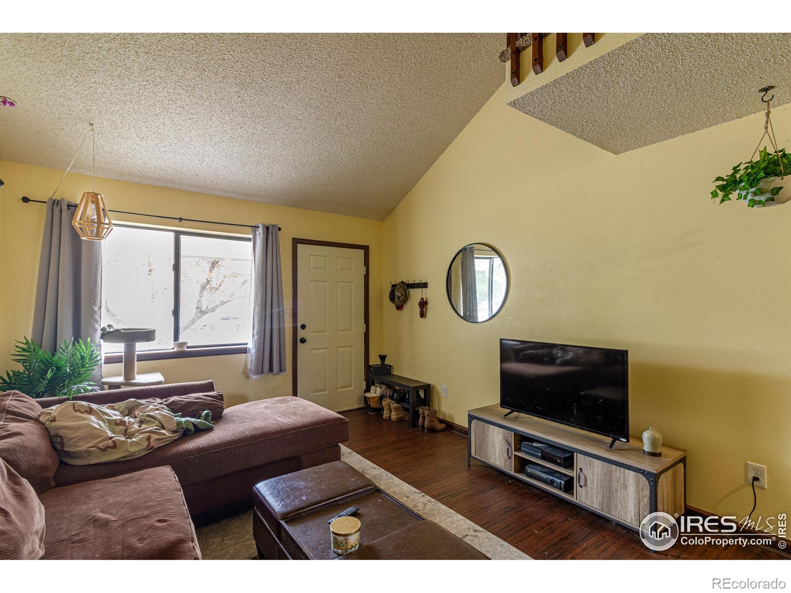 MLS Image #4 for 1507  peacock place,loveland, Colorado