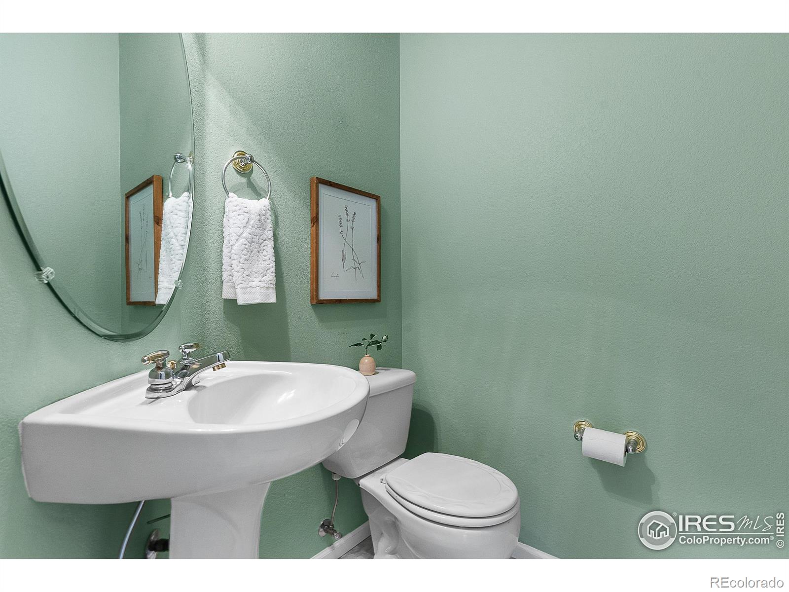 MLS Image #21 for 465  clubhouse court,loveland, Colorado