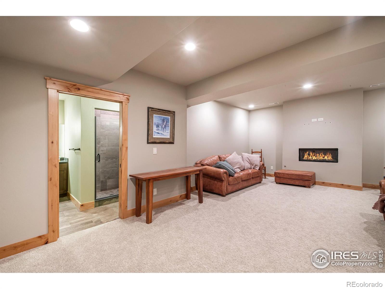 MLS Image #16 for 164  two moons drive,loveland, Colorado