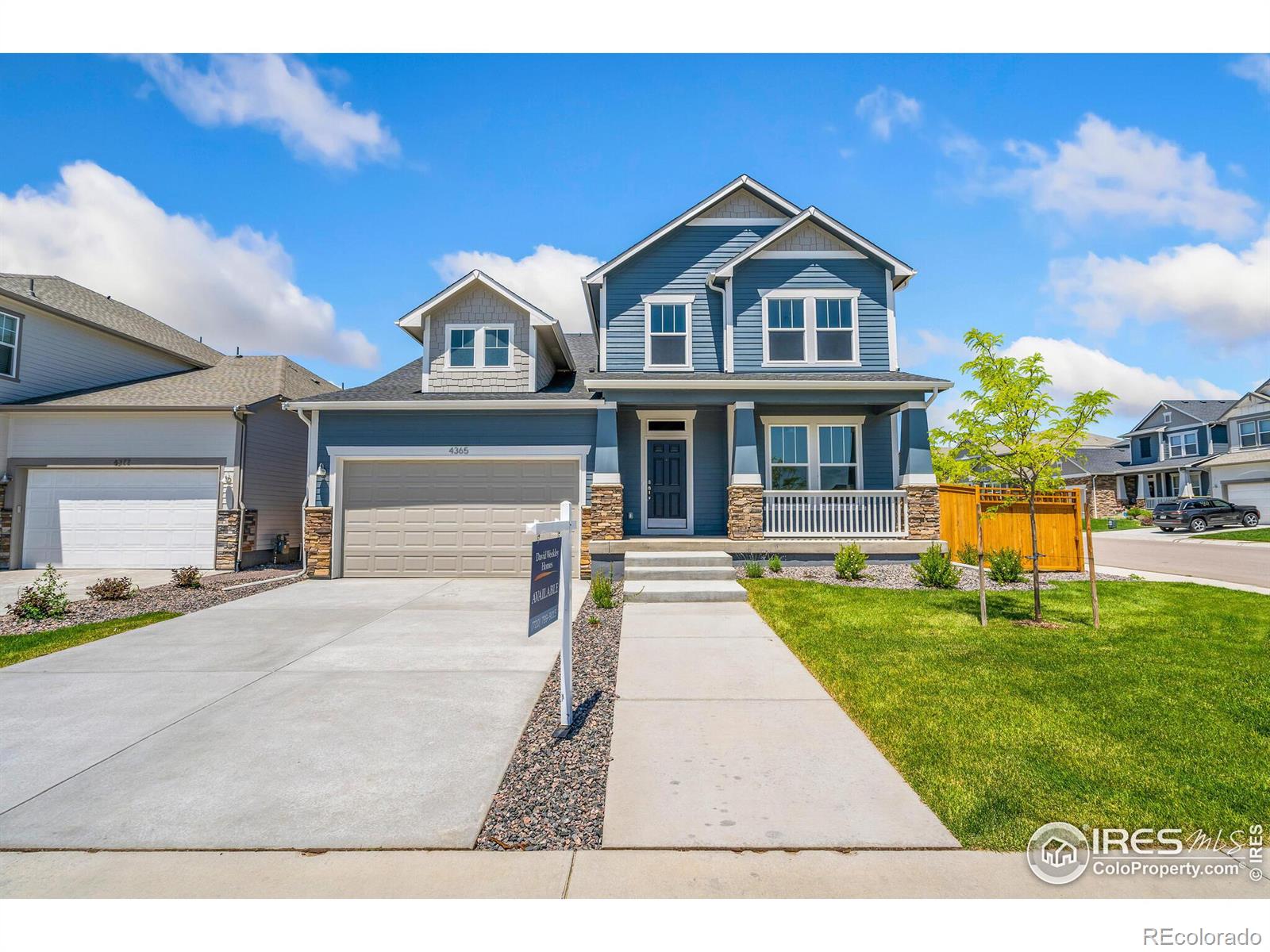 MLS Image #1 for 4365  lyceum court,timnath, Colorado