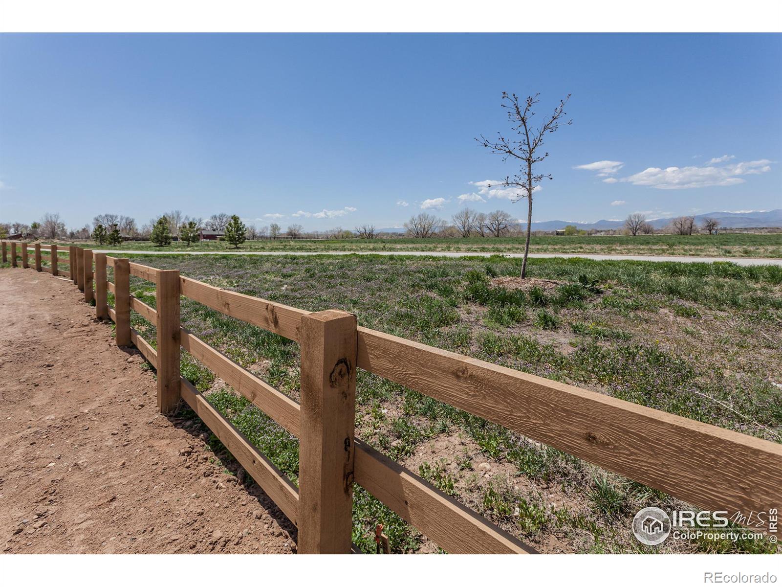 MLS Image #34 for 5017  leopold lane,timnath, Colorado